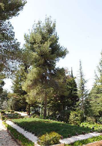 תמונה שקשורה ל מסלול המבקרים בהר הרצל