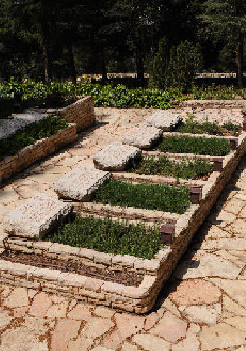 תמונה שקשורה ל מסלול המבקרים בהר הרצל