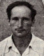 זאב (וולפי) מאירשטיין