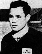 ישראל וולהנדלר