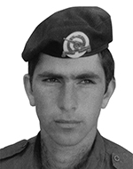 ברק רושגולד