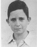 אמנון ציגלרויט