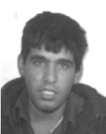 אברהם (אבי) פנחסי