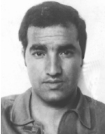 דוד (דודי) אפרת מלכה