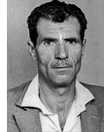 מזיד עראידה