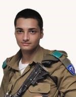 אור מנשה אביטל