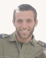 אמתי צבי גרנות