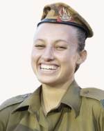 נועם אברמוביץ