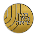 שירות בטחון כללי unit of fallen